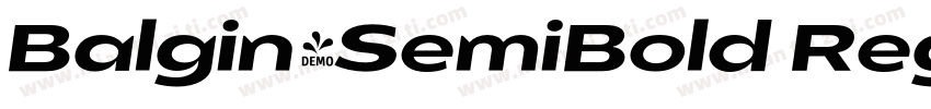 Balgin-SemiBold Regular字体转换